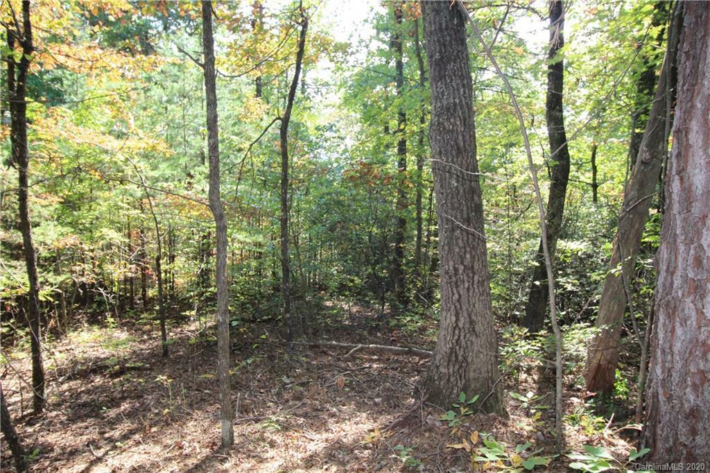 Property Photo:  Lot #82 Mountain Crest Drive S 82  NC 28752 