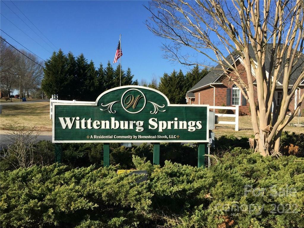 Property Photo:  Lot 29 Wittenburg Springs Drive 029  NC 28681 