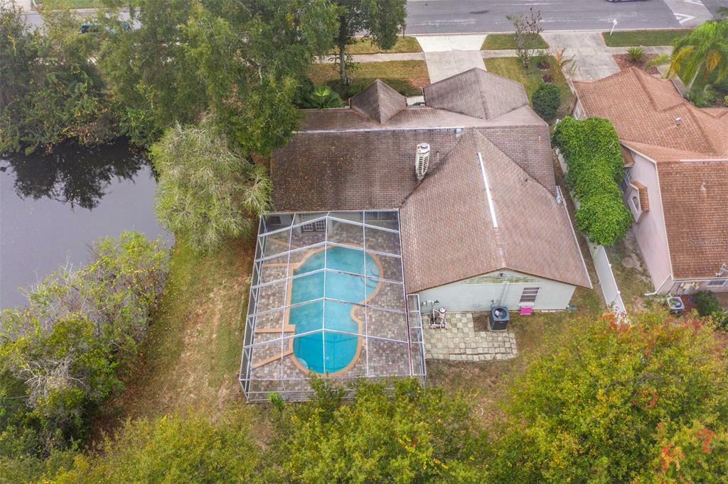 Property Photo:  6207 Eaglebrook Avenue  FL 33625 