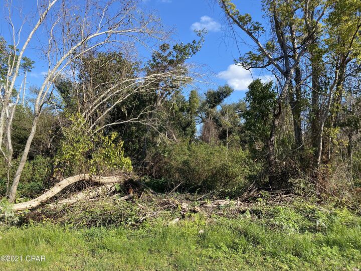 Property Photo:  000 Bayou Avenue  FL 32401 