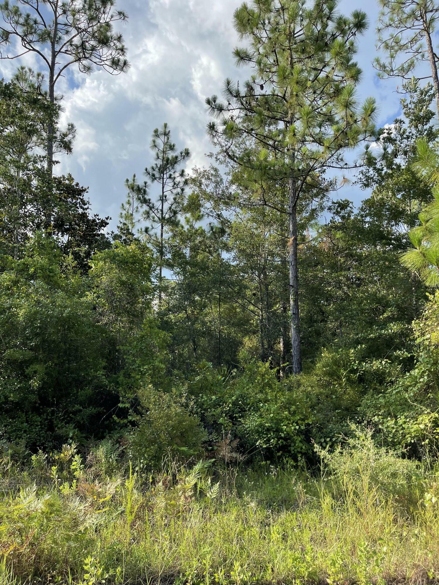 Property Photo:  Lot 10 Sandhill Court  FL 32439 