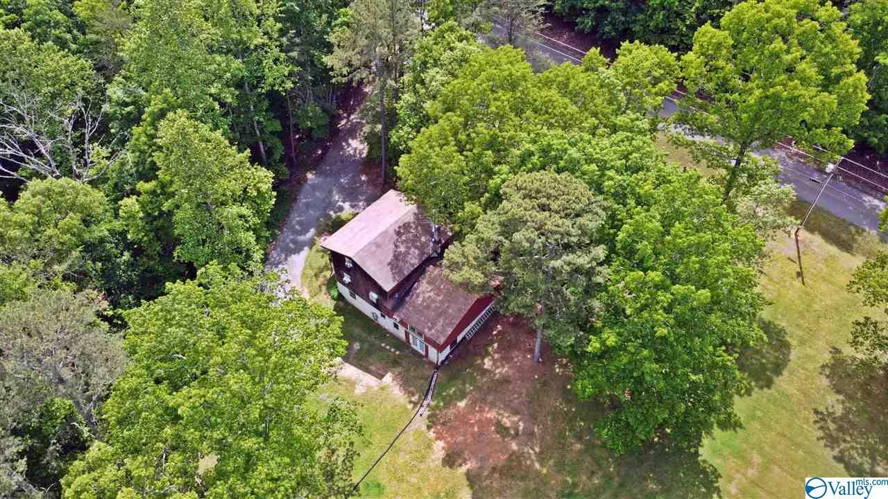 Property Photo: 3163 County Road 131 AL 35958