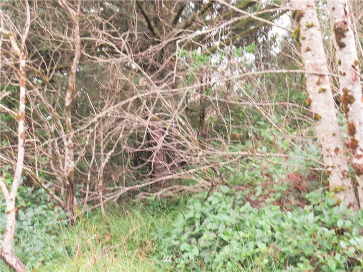 Property Photo:  173 Helm Street SW  WA 98569 