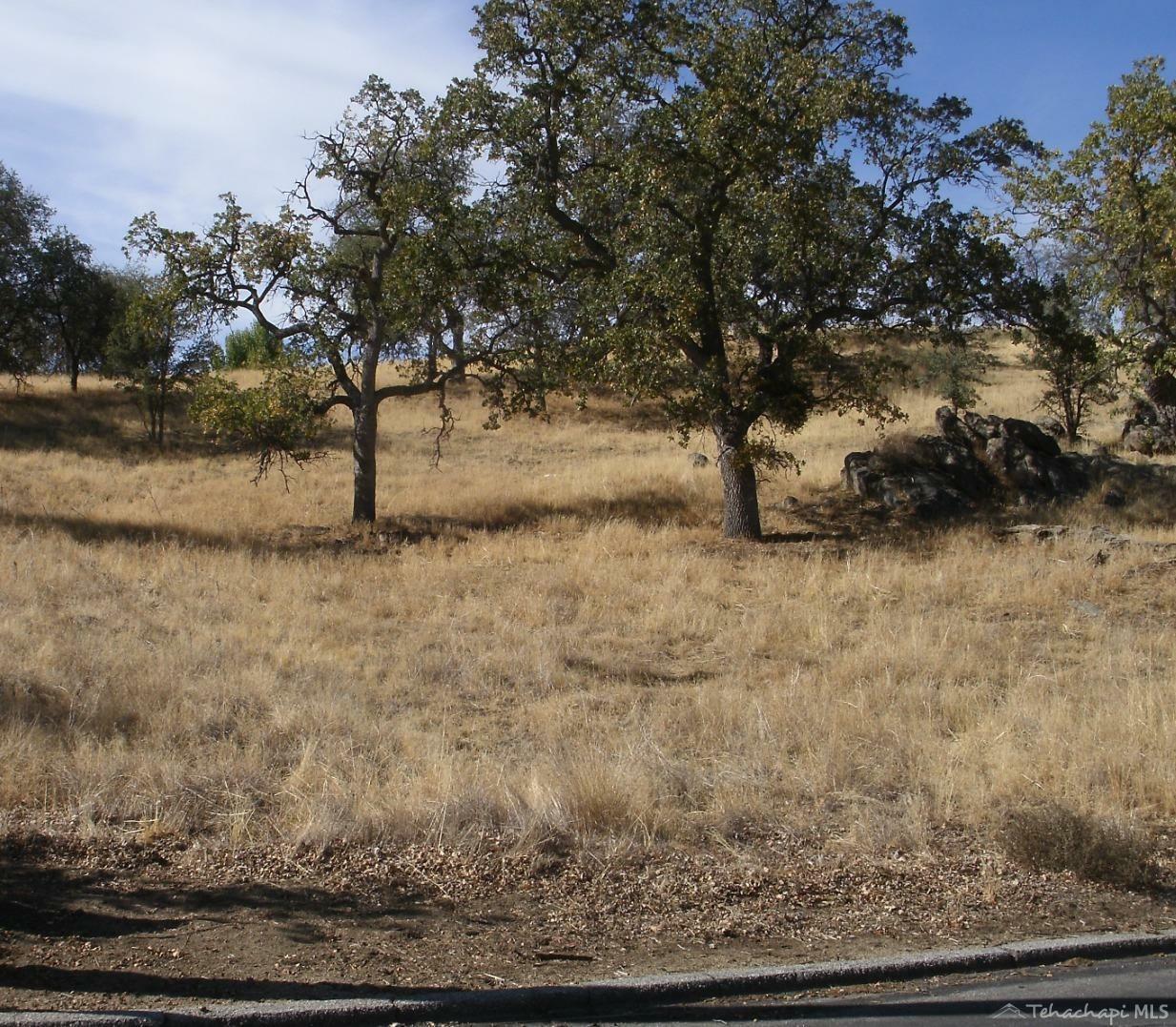 Property Photo:  0 Cedar Canyon Lot 4  CA 93561 