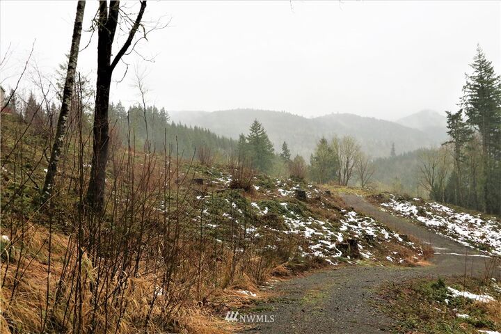 Property Photo: 0 Pauli Drive WA 98626