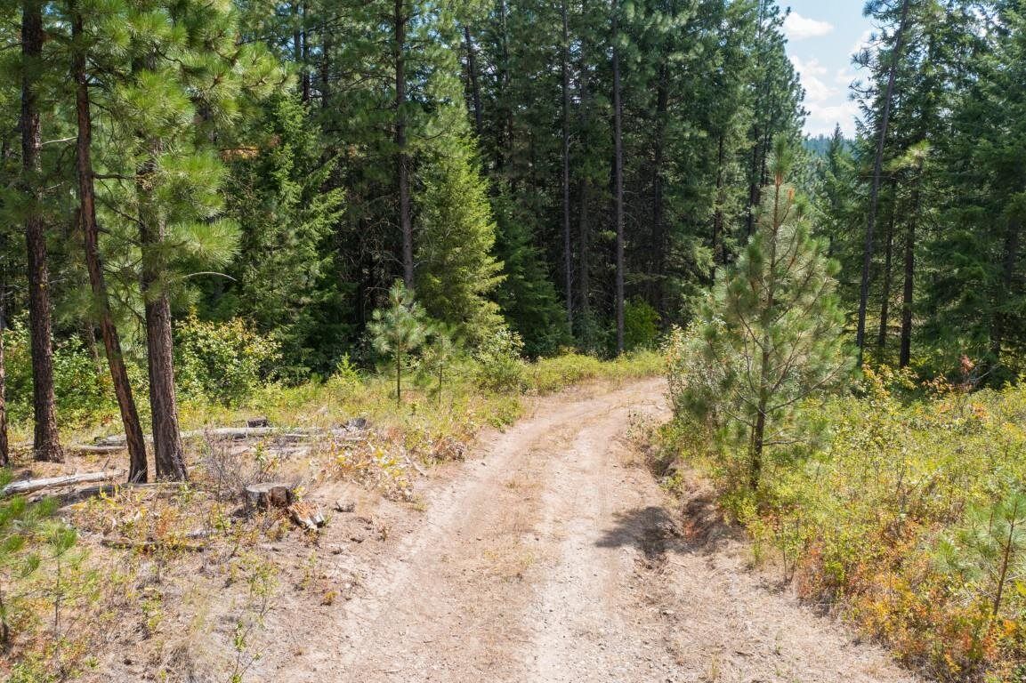 Property Photo:  Xxx Castle Rock Creek Rd  WA 99129 