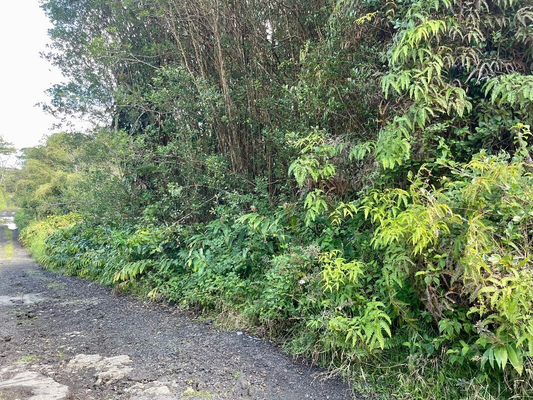 Property Photo:  Hawaii St  HI 96771 