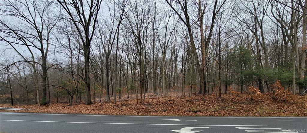 Property Photo:  All Angels Hill & Widmer Rd Road  NY 12590 