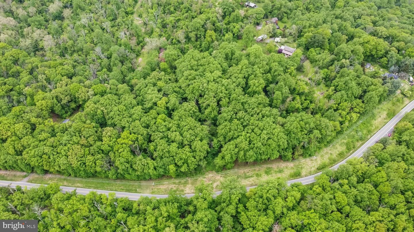 Property Photo:  Taylorstown Rd  VA 20176 