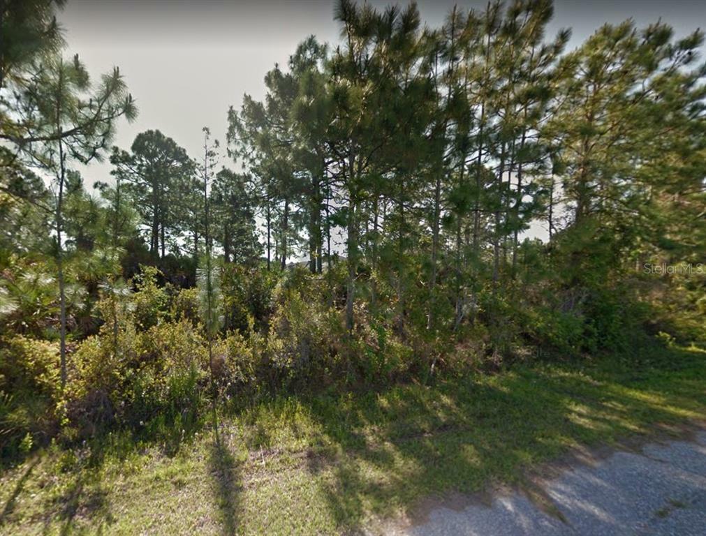 Property Photo:  4328 Hograth Street  FL 33981 