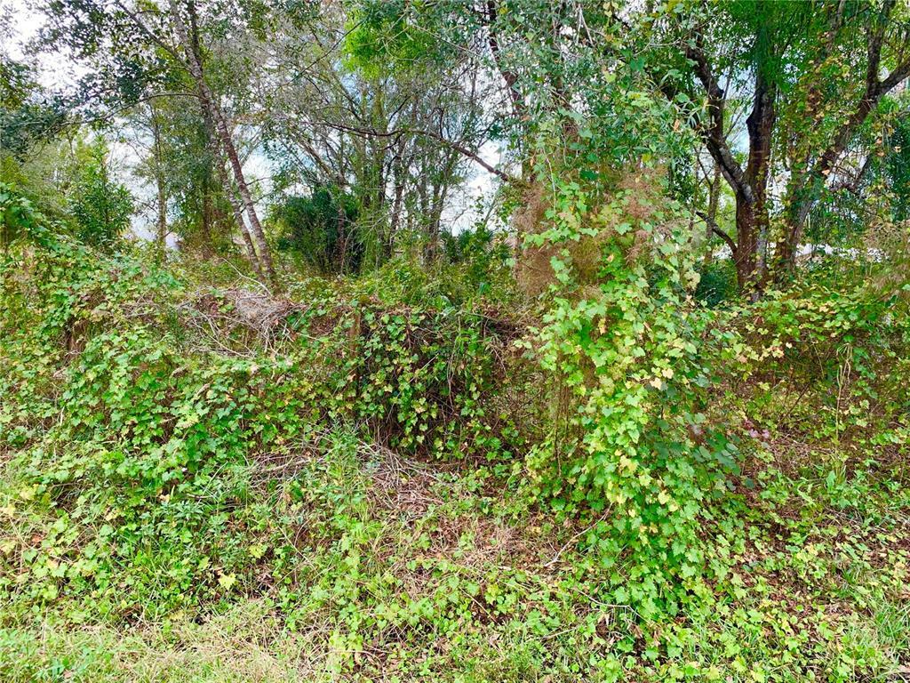 Property Photo: 10149 SW Levsky Avenue FL 34269