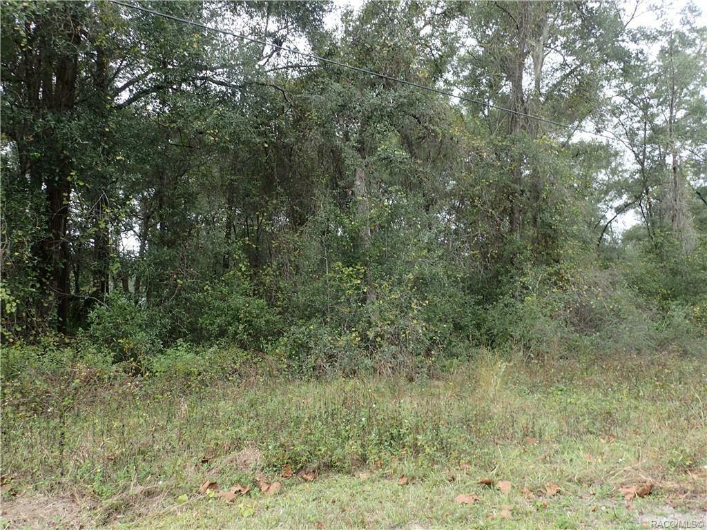 Property Photo:  186 N Zinnia Point  FL 34453 