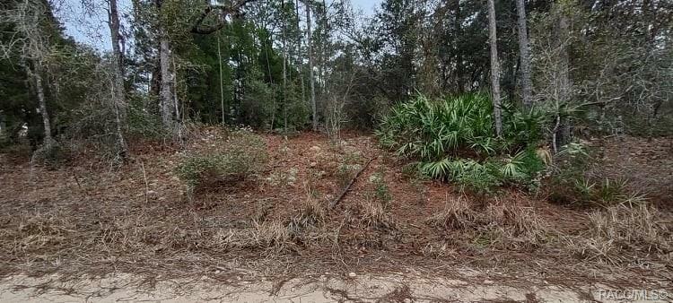 Property Photo:  6286 W Tirana Lane  FL 34433 