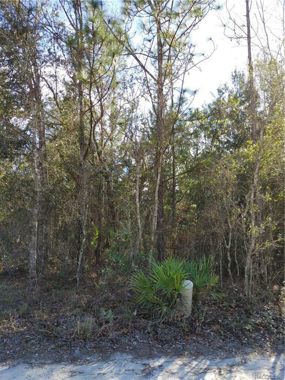 Property Photo:  5296 S June Terrace  FL 34446 