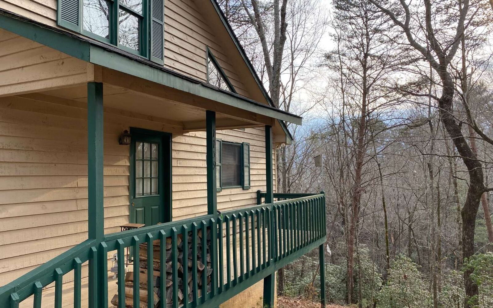 Property Photo:  1159 Shenandoah Drive  GA 30540 