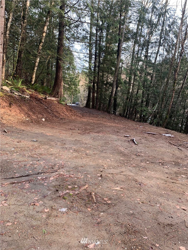 Property Photo: 0 S Pass Road WA 98295