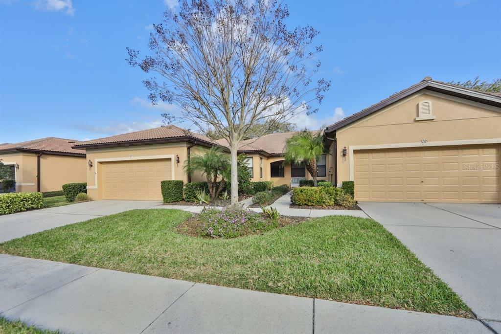 Property Photo:  207 Shell Falls Drive  FL 33572 