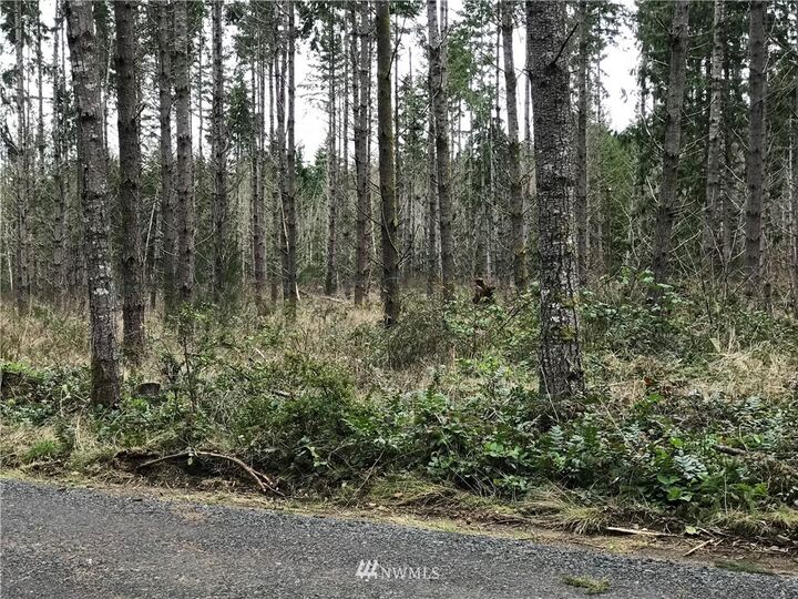 Property Photo:  0 NE Sawdust Hill Road Lot 1  WA 98370 