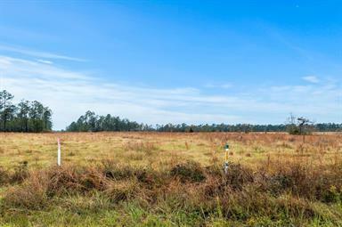 Property Photo:  Alcock Lot 9 Road  LA 70652 