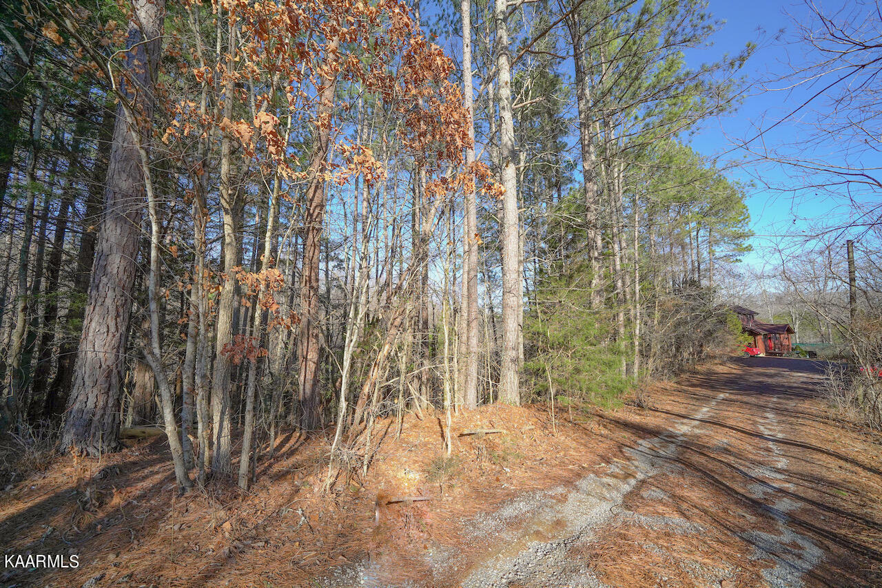 Property Photo:  Lot 151 S New Era Rd  TN 37876 