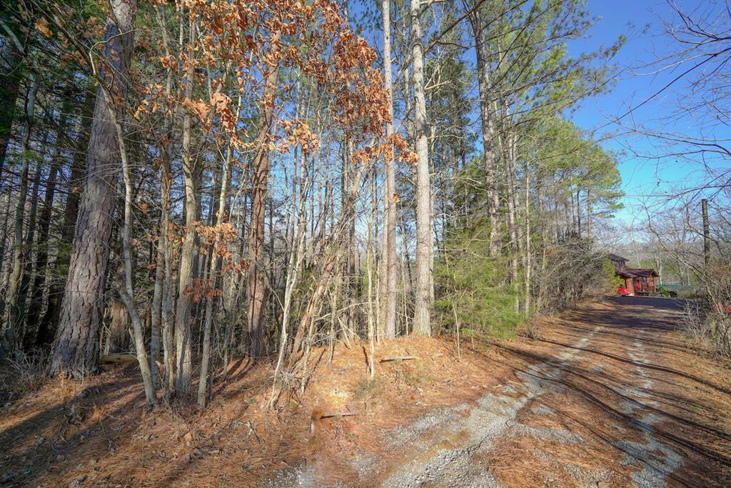 Property Photo:  New Era Lot 151 S New Era Road  TN 37876 