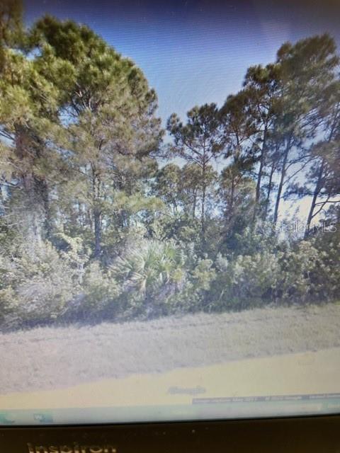 Property Photo: 11974 Van Loon Avenue FL 33981