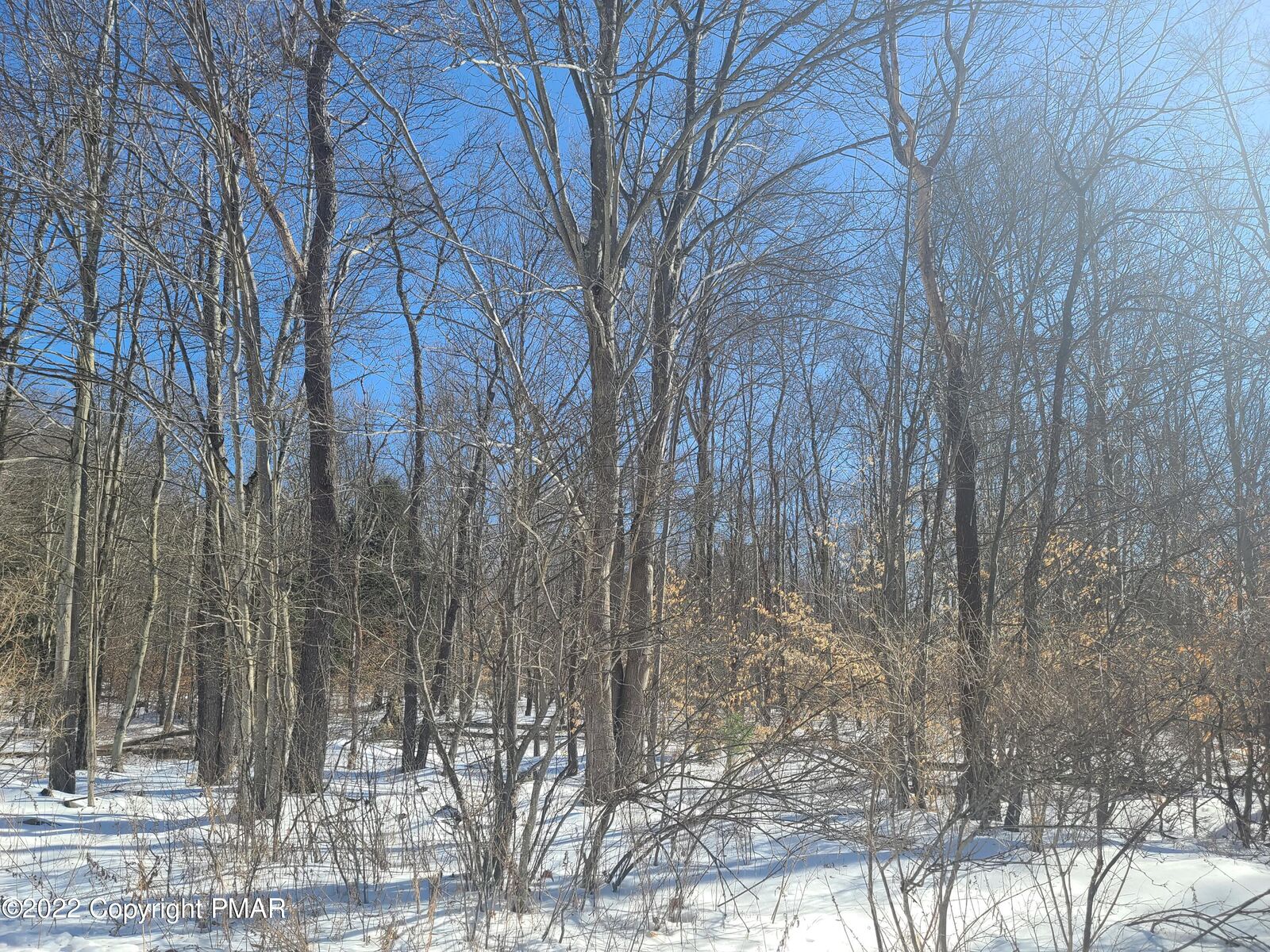 Property Photo: 7 Pvt/ Samantha Road PA 18347