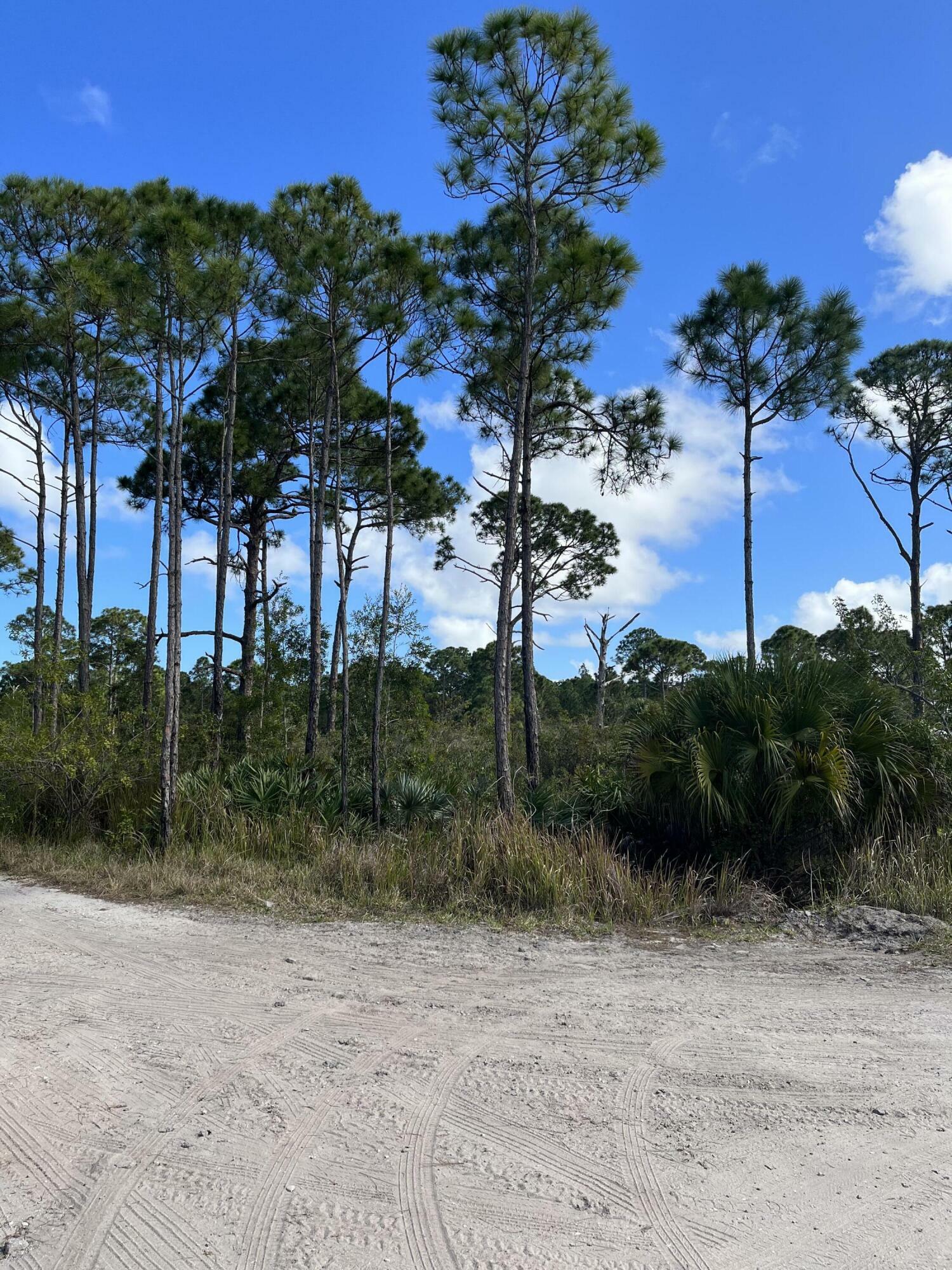 Property Photo:  0 Tree Top Trail  FL 34951 