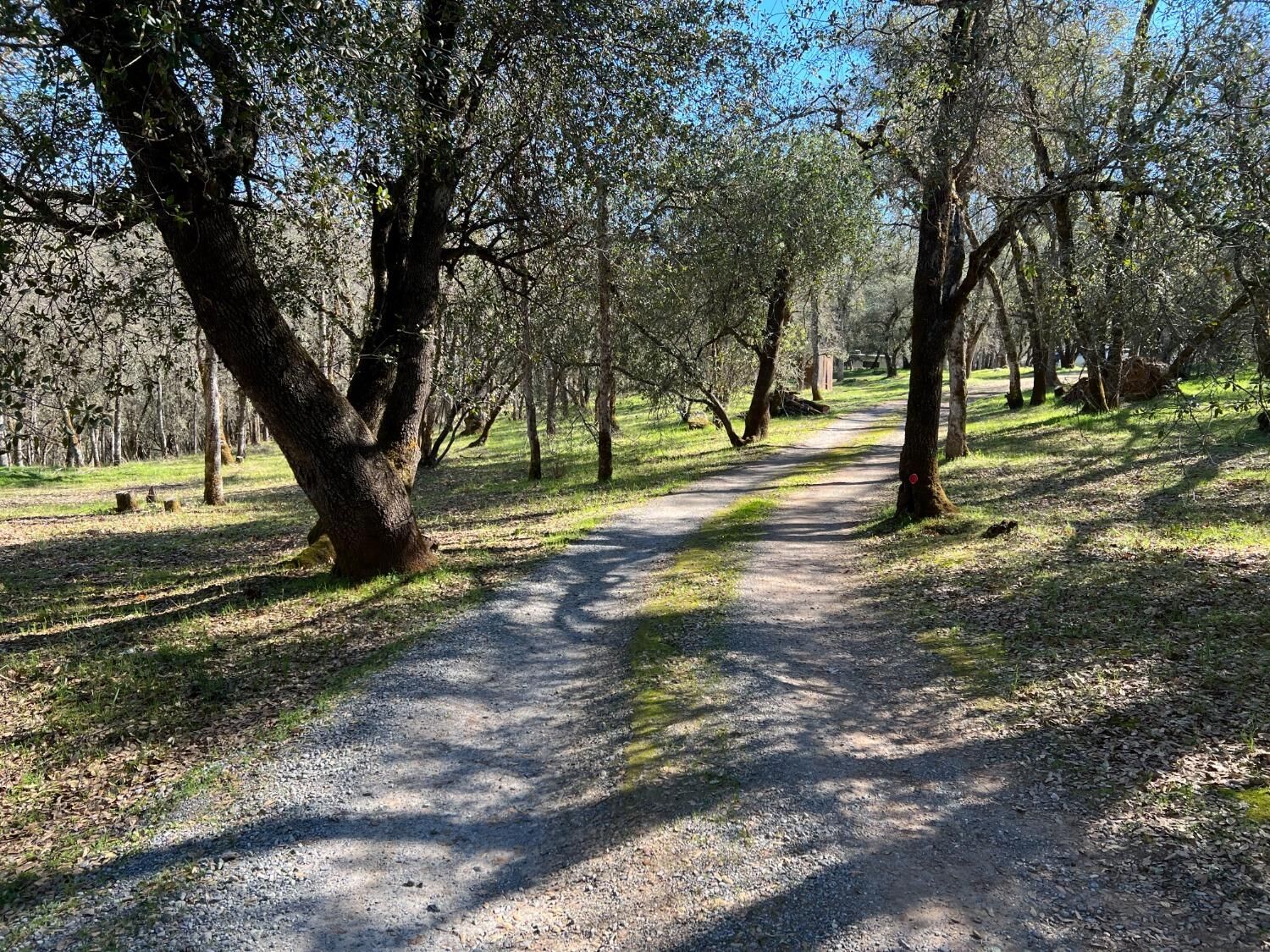 Property Photo: 5291 Union Mine Road CA 95619