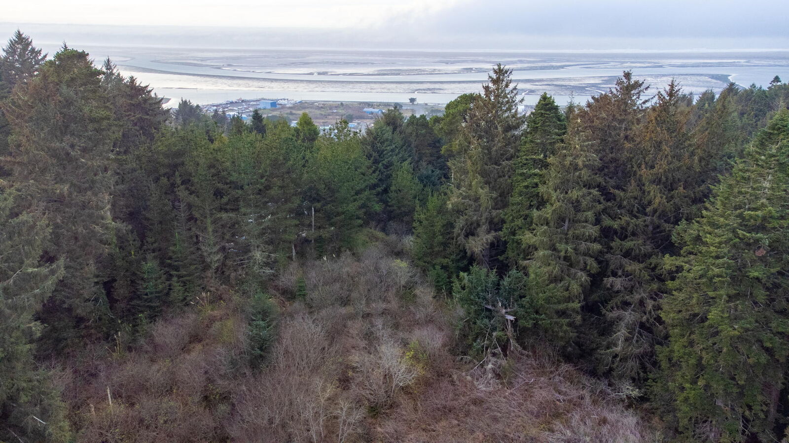 Property Photo:  0 London Drive  CA 95503 