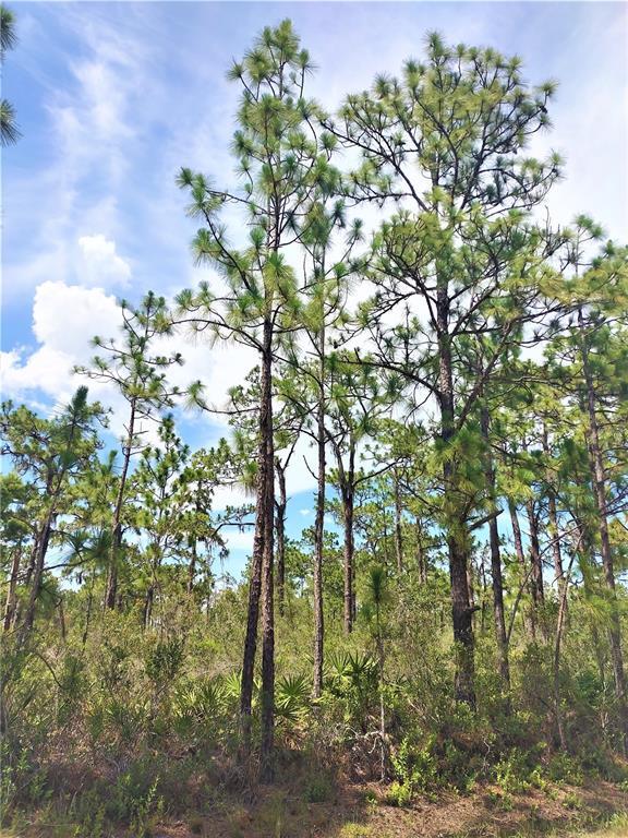 Property Photo:  4370 Indian Lake Drive  FL 33898 