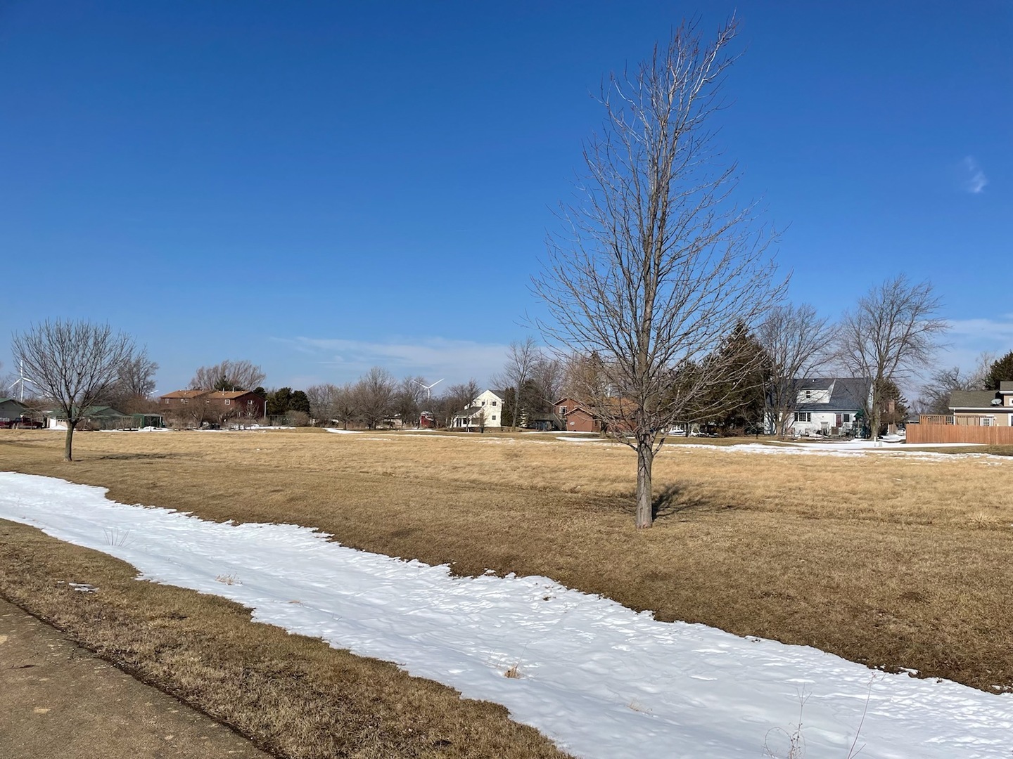 Property Photo:  160 Prairie Turn  IL 60919 