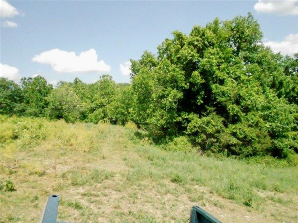 Property Photo:  000 Blue Jay Road  AR 72751 