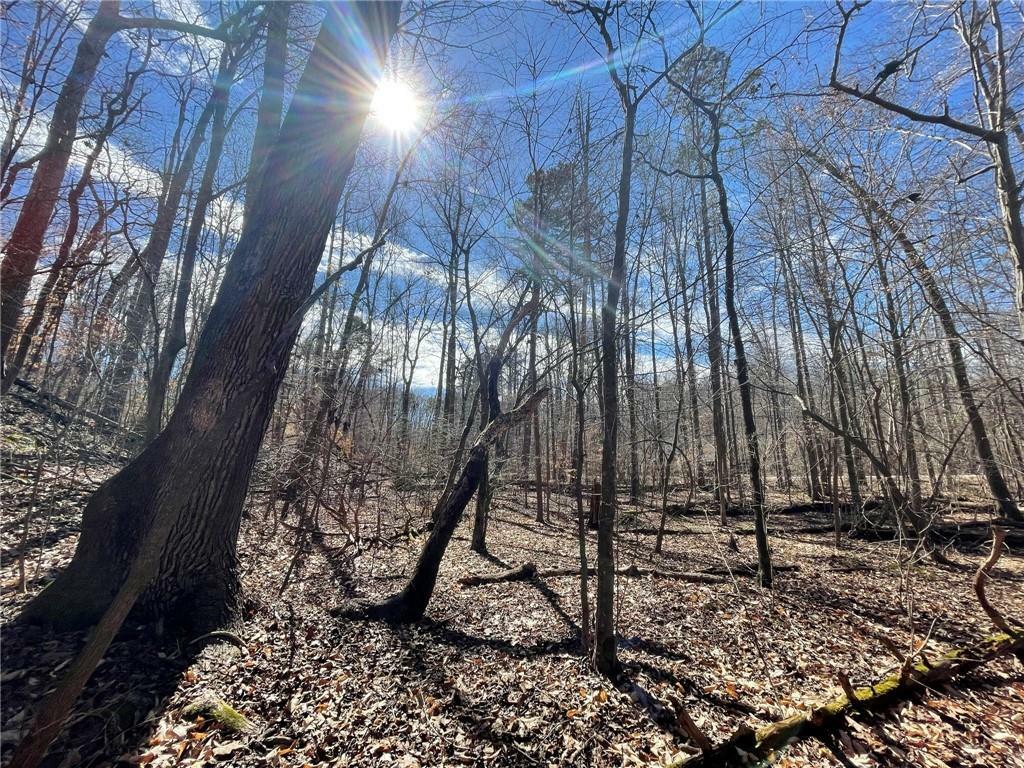 Property Photo: Lot 411 Birch Court SC 29693