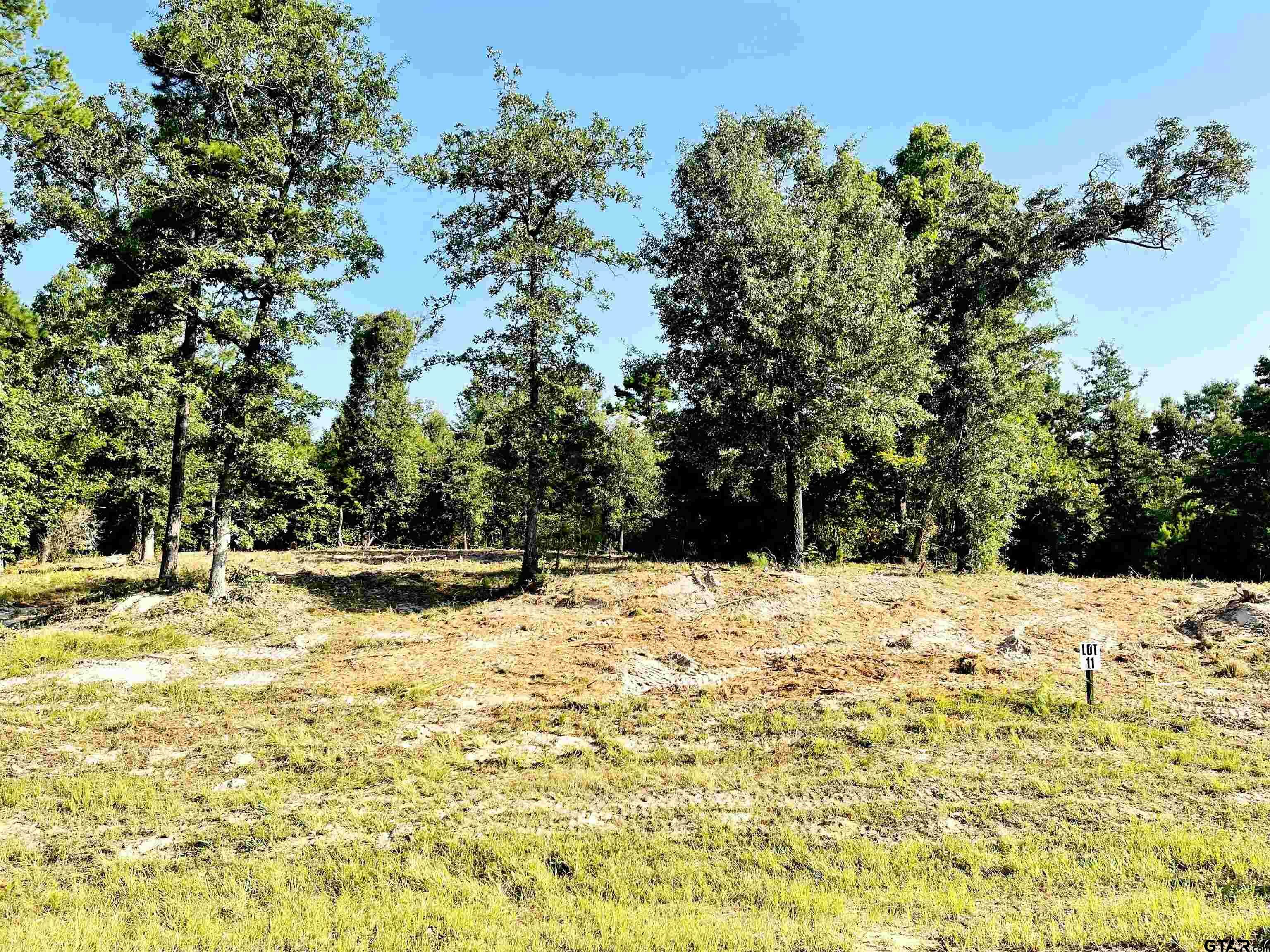 Property Photo:  Lot 11 Cr 3545  TX 75765 