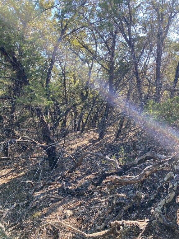 Property Photo:  20705 Hawthorne Cove  TX 78645 