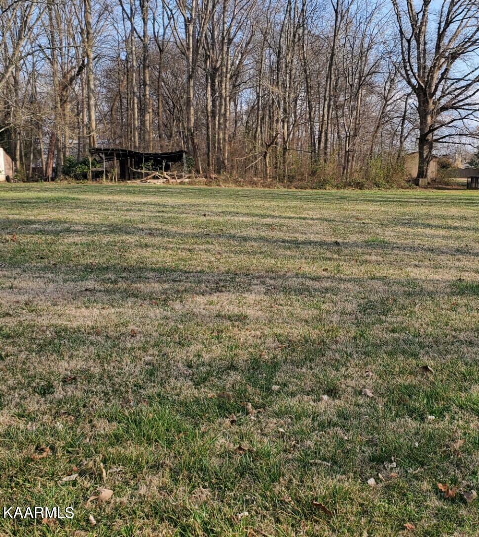 Property Photo:  Lot 19 Dewitt Drive  TN 37772 