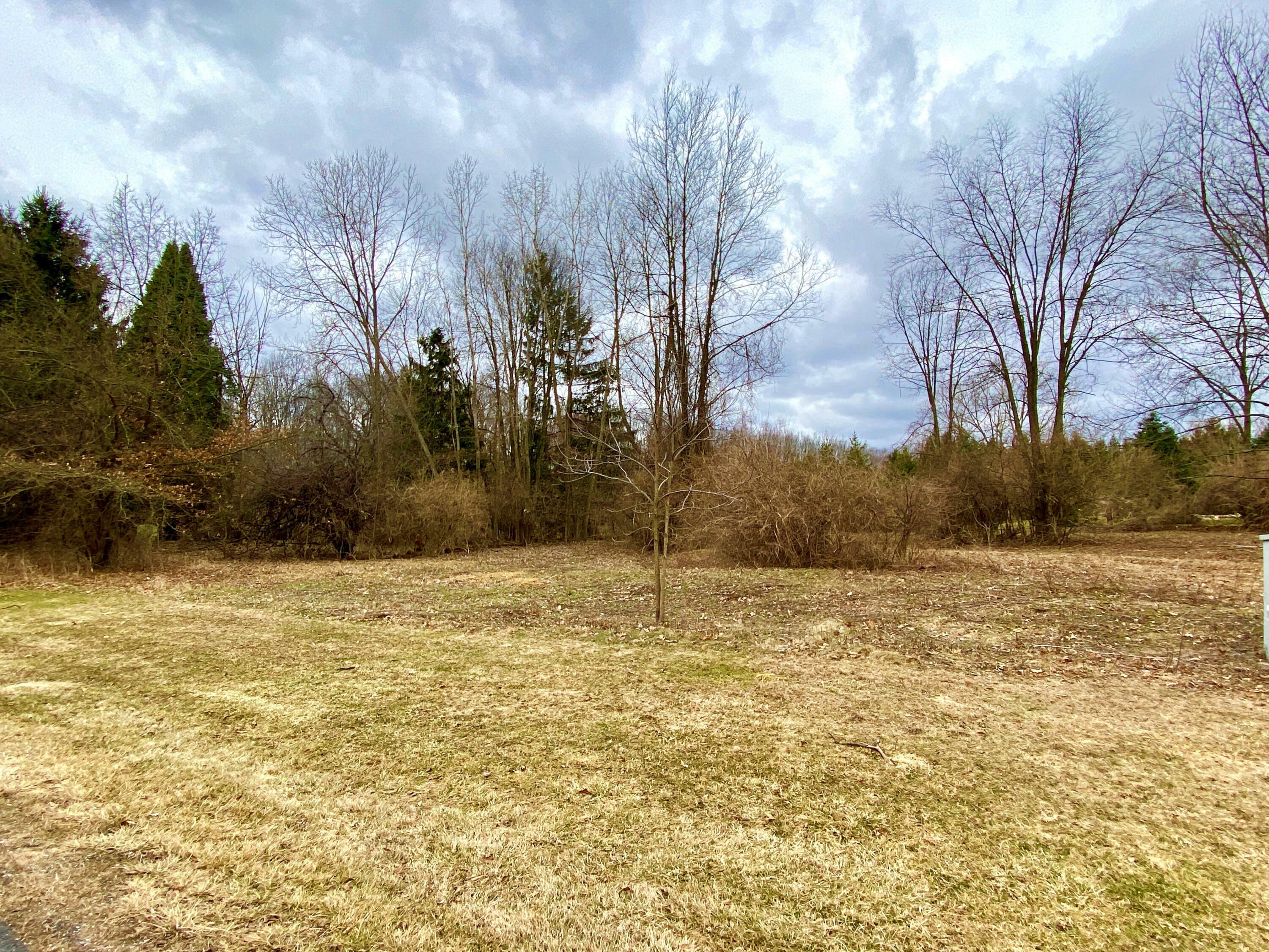 Property Photo:  Unit 4 Indian Creek Drive  MI 49201 