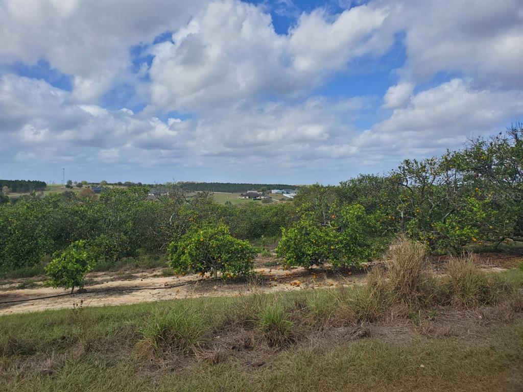 Property Photo: Waverly Road FL 33827