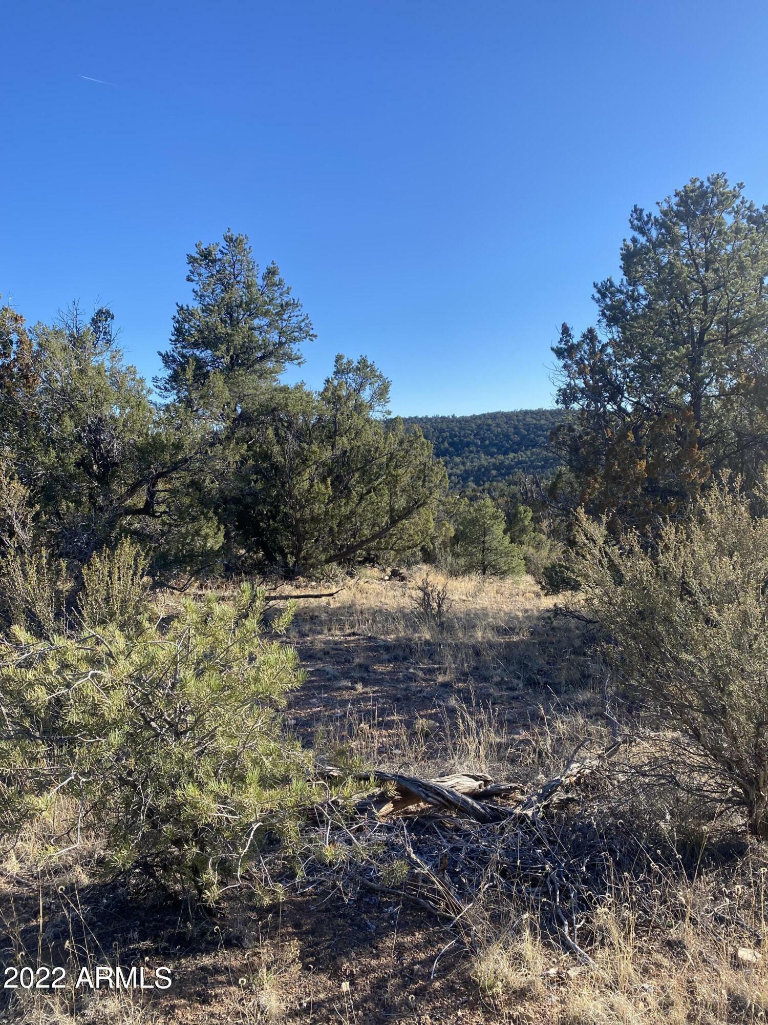 Property Photo:  51824 N Cordero Road 3384  AZ 86337 