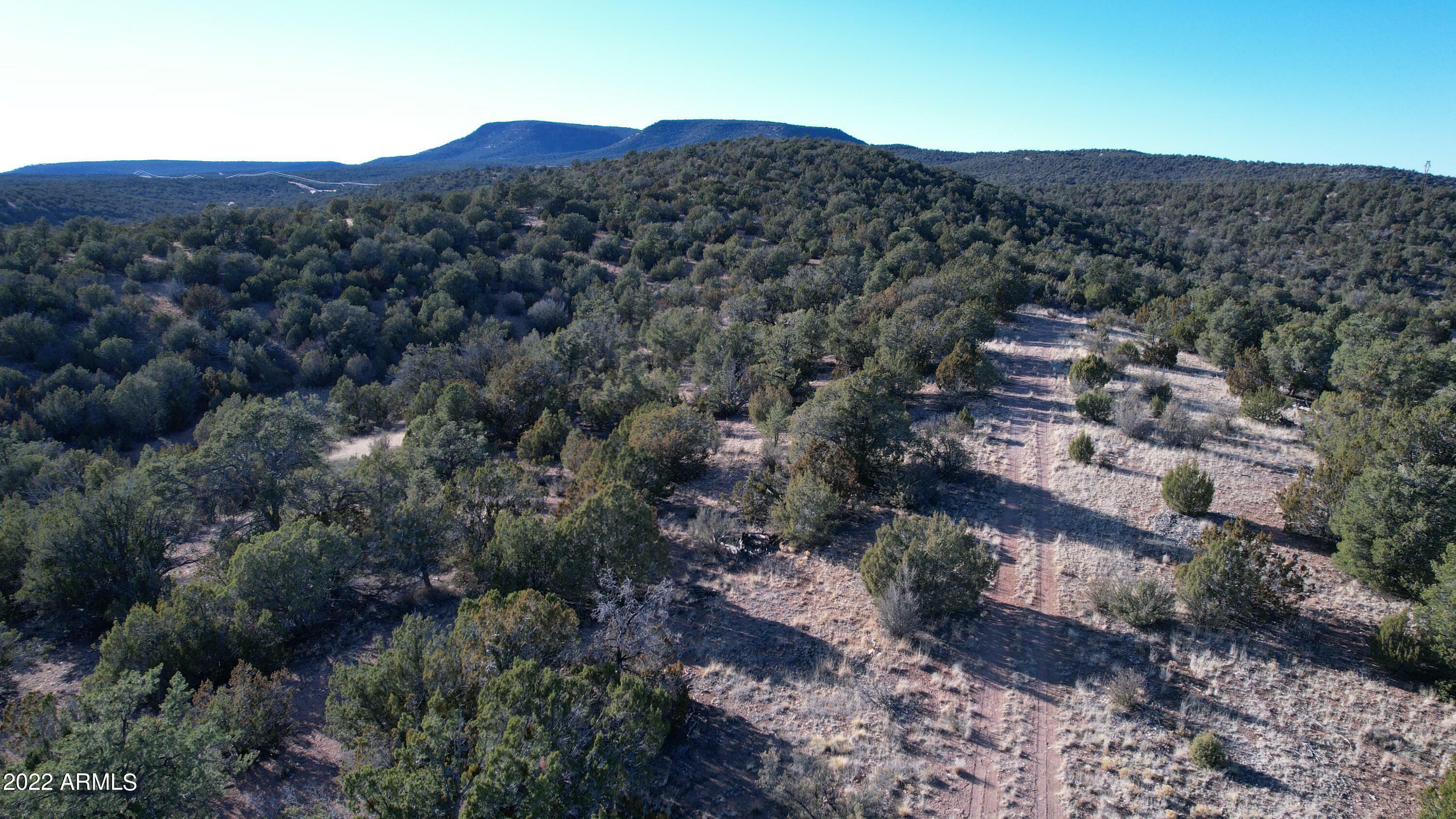 Property Photo:  51804 N Cordero Road 3385  AZ 86337 