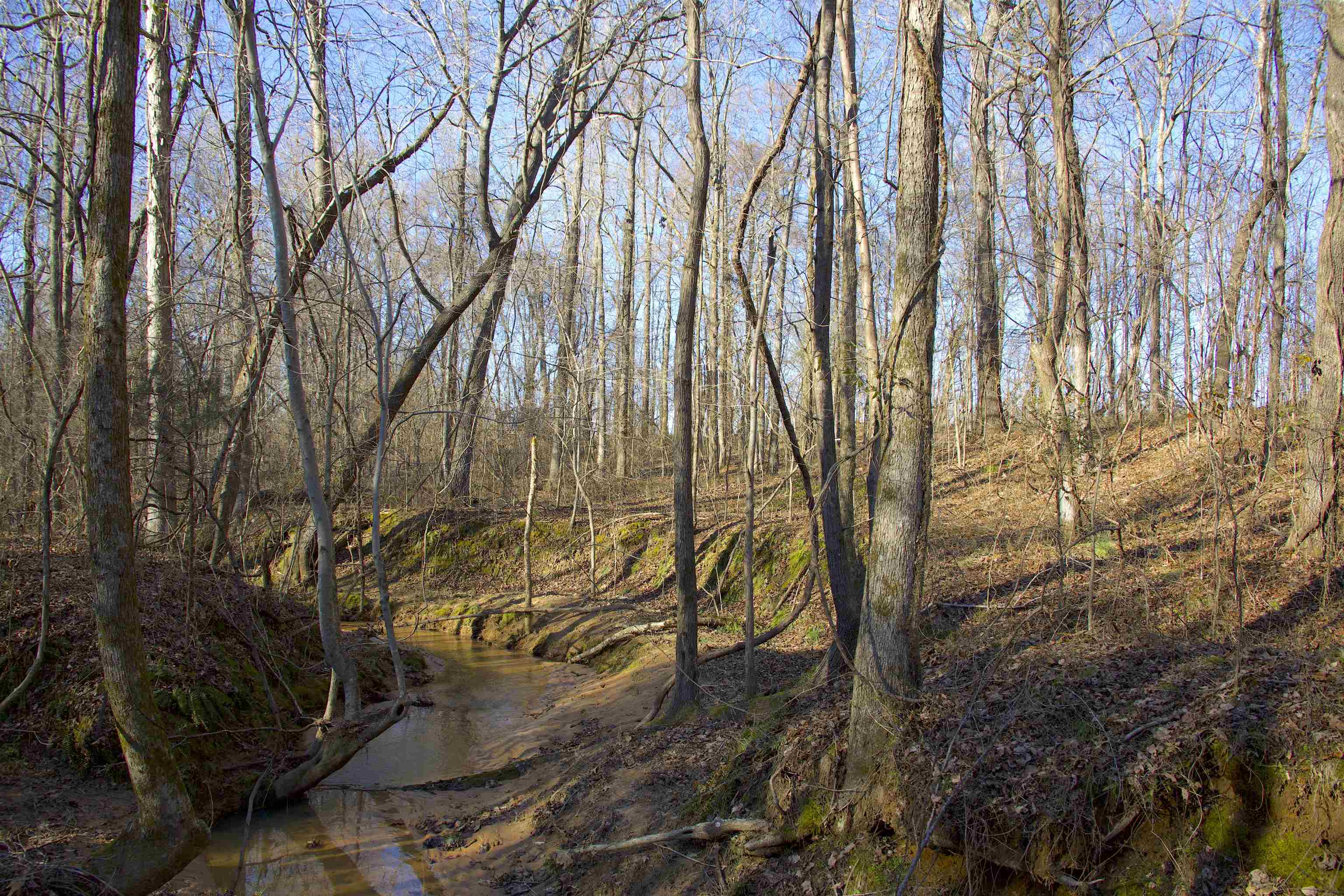 Property Photo:  3400 Bryan Rd  MS 38647 