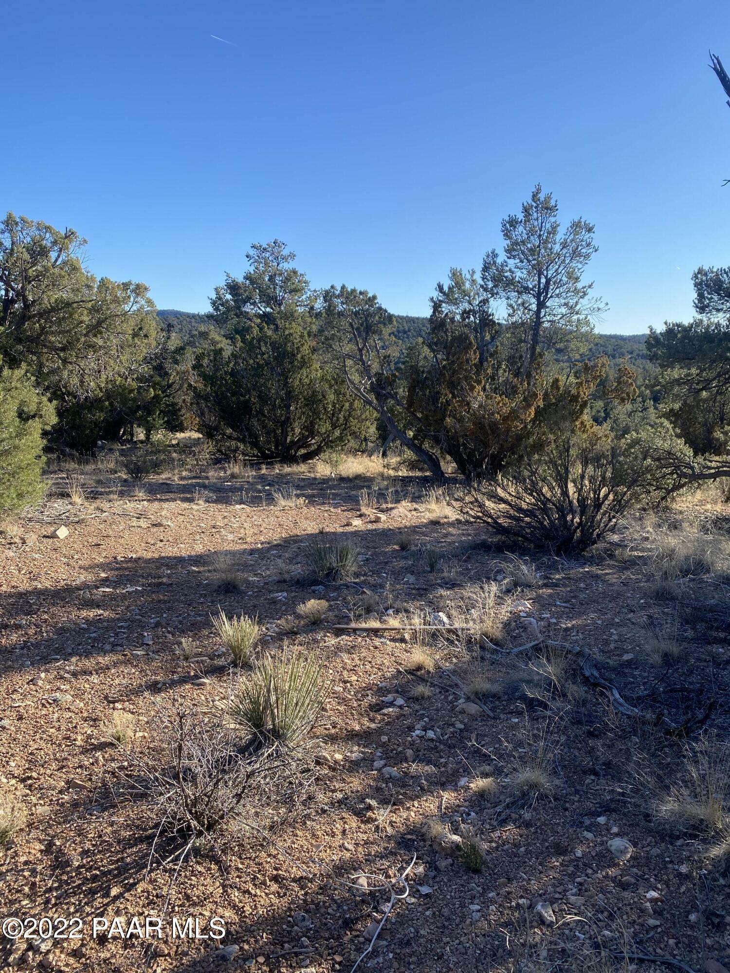 Property Photo:  51874 N Cordero Road  AZ 86337 