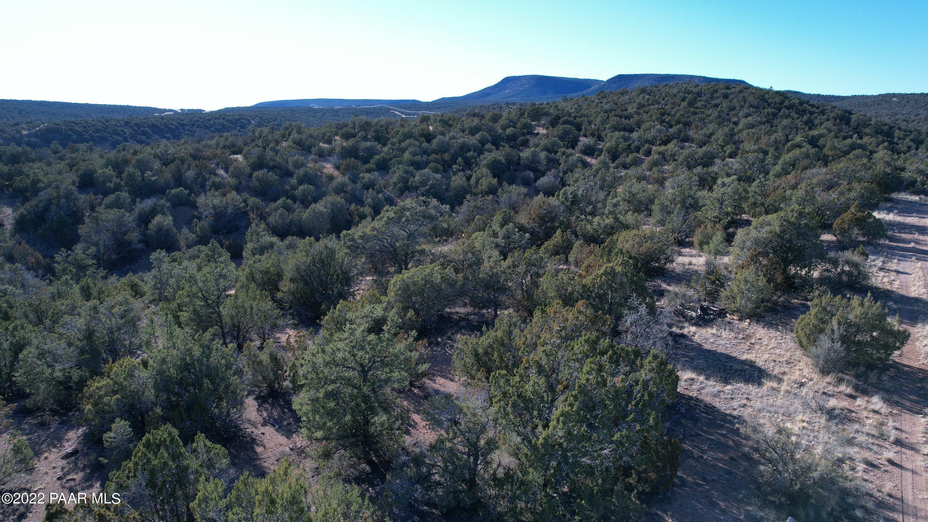 Property Photo:  51804 N Cordero Road  AZ 86337 