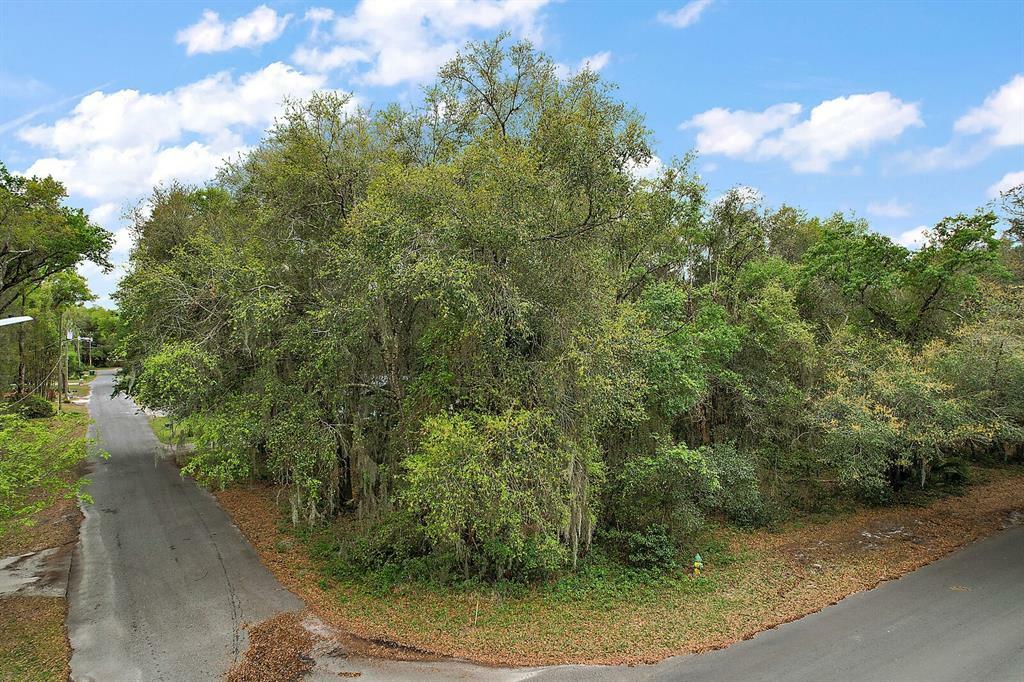 Property Photo:  E 11th Avenue  FL 32757 