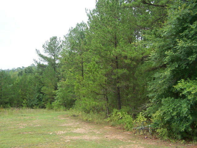 Property Photo:  0000 Lexington Road  GA 30631 