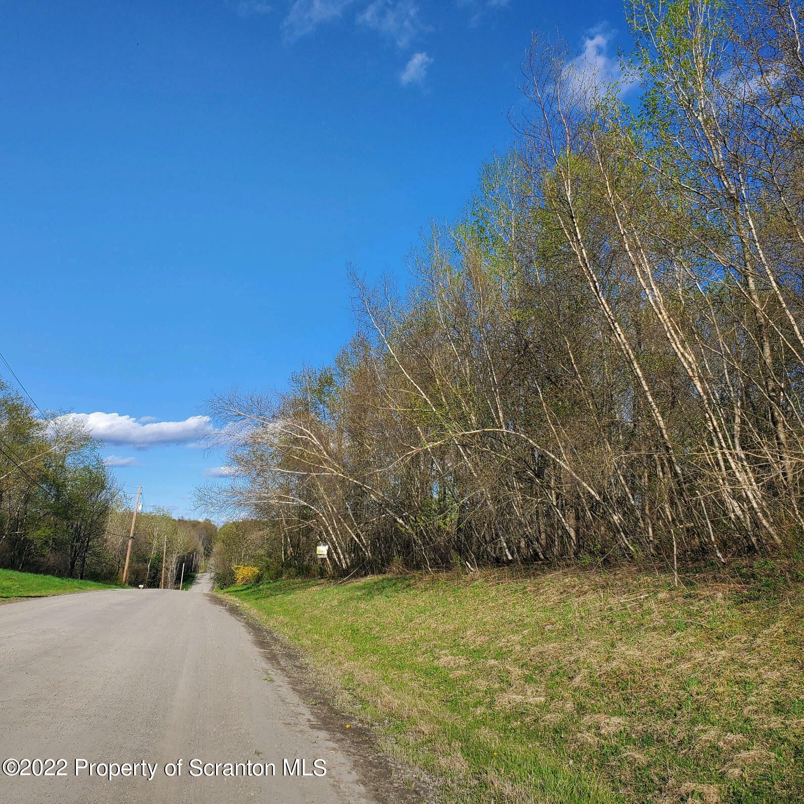 Property Photo:  Ararat Road  PA 18465 