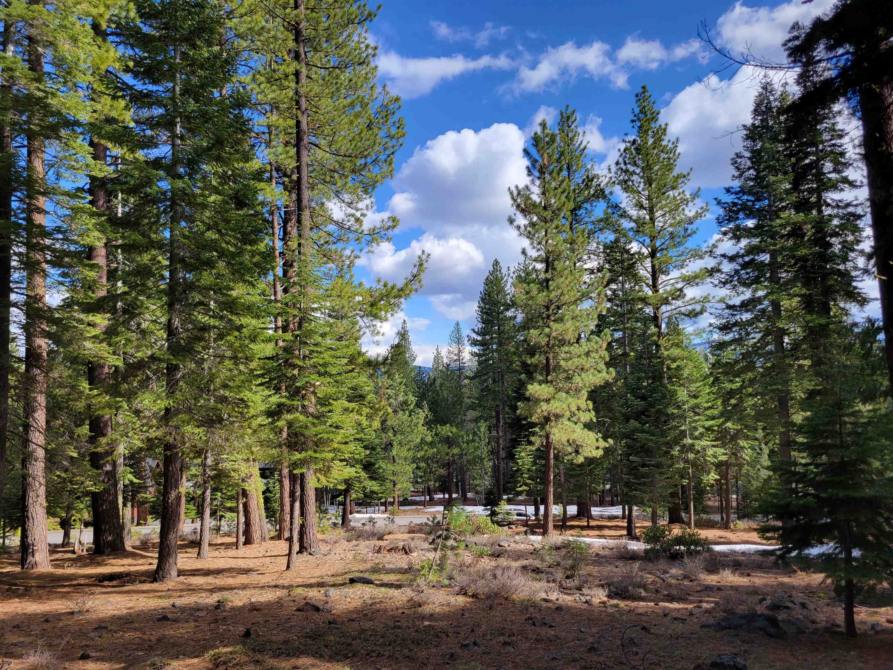 Property Photo: 12062 Saddleback Drive CA 96161