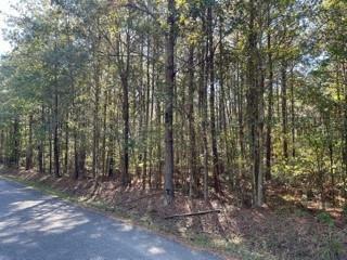 Property Photo:  Lot 4 Big Lake Road  LA 71360 