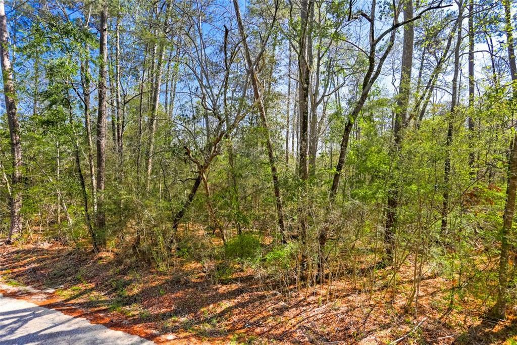 Lot 13 Crabapple Lane  Franklinton LA 70438 photo